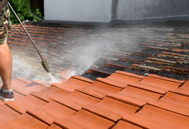 Best Commercial Building Pressure Washing  in Seabrook, TX