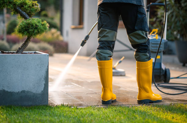 Best Roof Power Washing Services  in Seabrook, TX